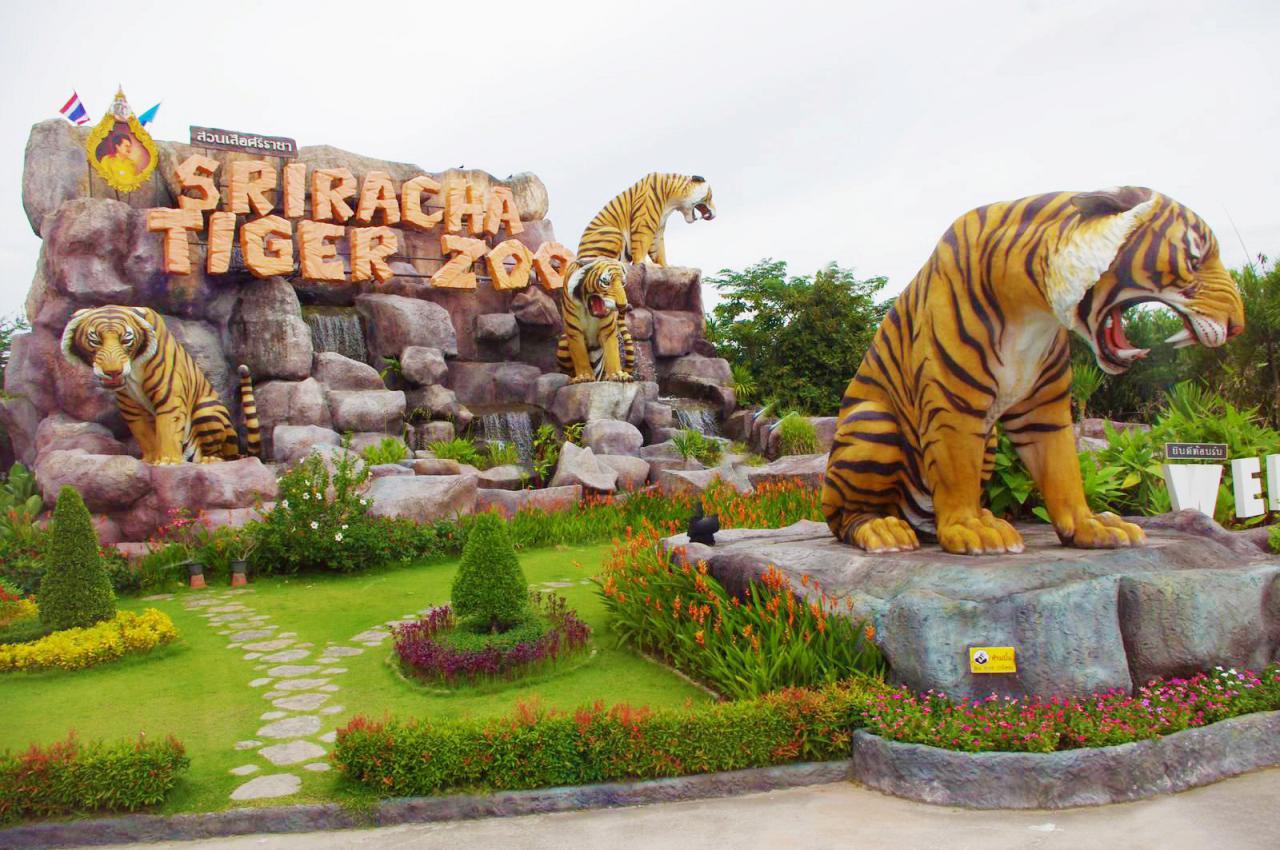 Kết quả hình ảnh cho Tiger zoo